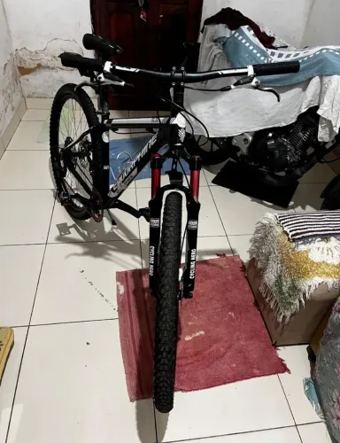 Bicicleta 29