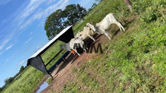 Fazenda à venda, m² por R$ 30.000.000,00 - Zona Rural - Conceição do Tocantins/TO