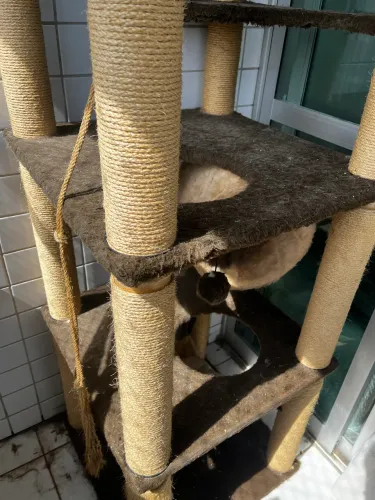 Castelo arranhador para gatos