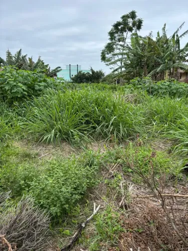 Terreno no Bairro Campeche em ótima localização