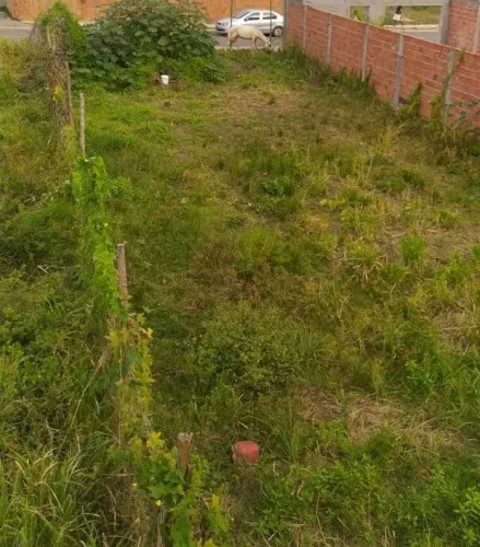 Vendo terreno em barra do jacuipe condomínio fechado lado da praia 