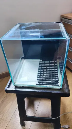 Aquário Cubo 25x25 - Betta, Camarões, Neons, Tetra Foquinho