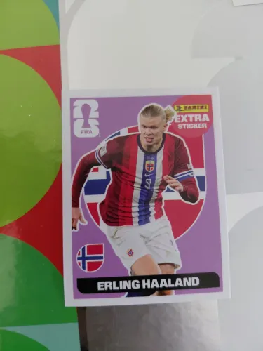 Haaland extra ticket original