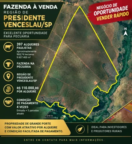 FAZENDA À VENDA PECUÁRIA | REGIÃO DE PRESIDENTE VENCESLAU/SP NEGOCIO DE OPORTUNIDADE