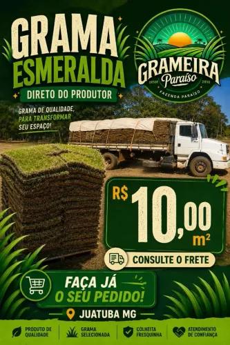 Grama esmeralda