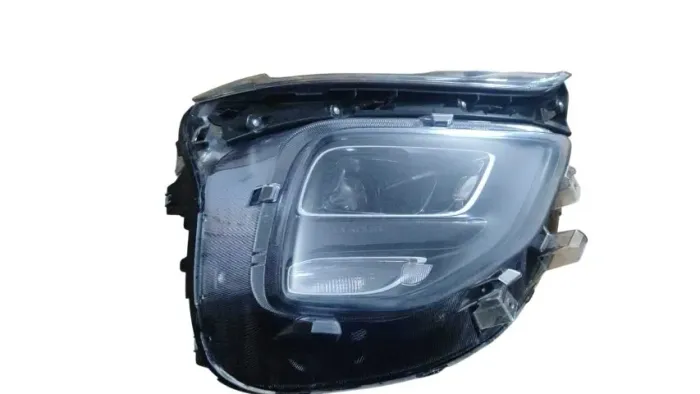 Farol Montana LD- 2023-2025