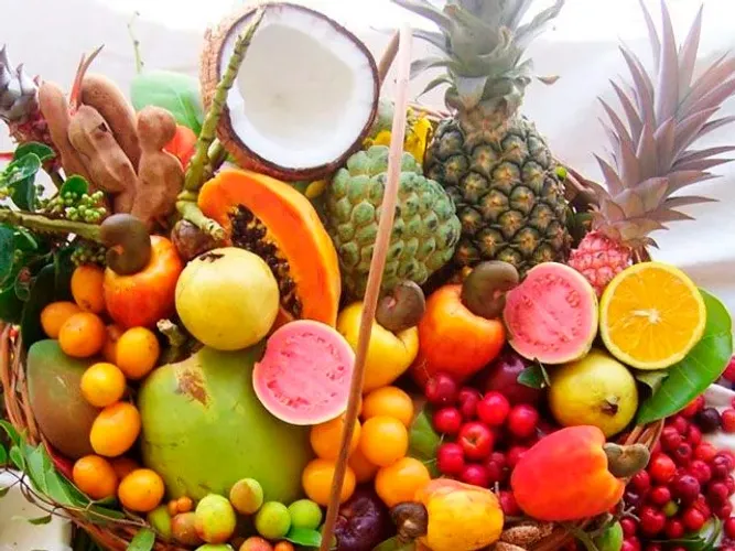 MUDAS - Kit Tropical (Super Promoção)