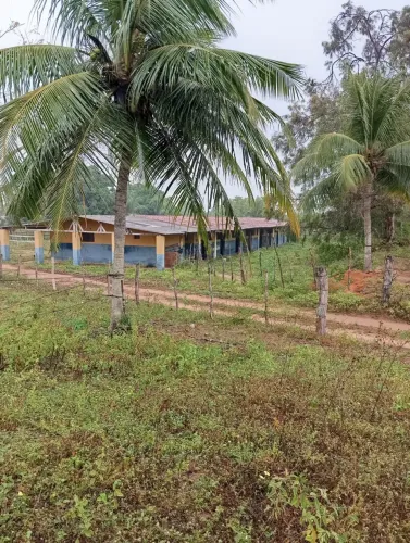 VENDO FAZENDA COM 12 HECTARES COM UM HARAS, EM TAIPU NO VALOR DE 1MILHÃO E 200 MIL.