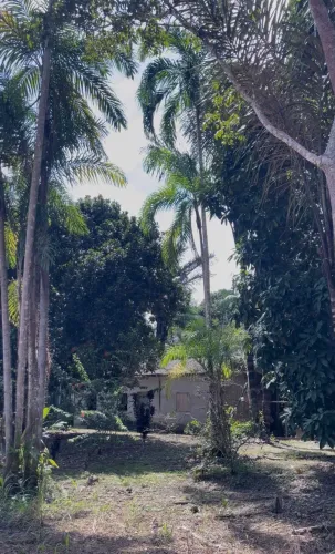 Sítio vendo ou troco por casa em rio preto