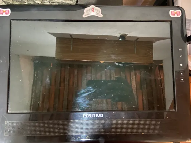 Monitor vga