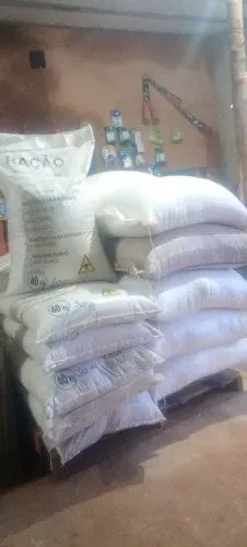 Saco de Milho (Ração Concentrada Energética) - 50kg