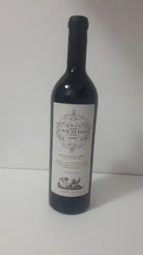 Vinho Gran Enemigo Gualtallary