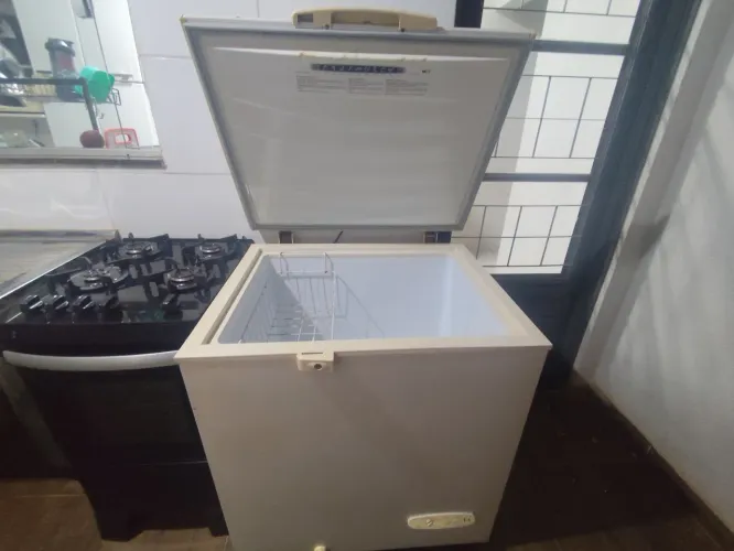 Freezer Horizontal