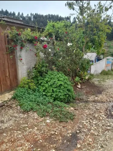 Casa há 8 minutos do centro 