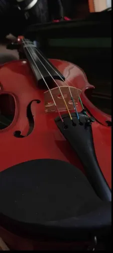 Violino 4/4 Ajustado por Luthier