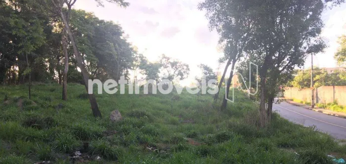 Oportunidade! Lotes à Venda em Betim