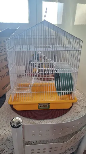Gaiola para hamster