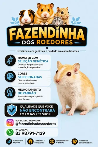 Gerbil ou Esquilo da Mongólia