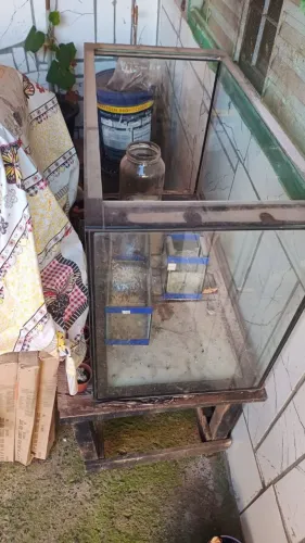 Vendo