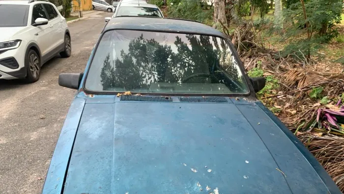 Chevrolet Chevy 500 DL / SL / SE/ Furgão 1.6 (álcool) 1991