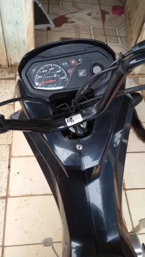 Honda Pop 2024