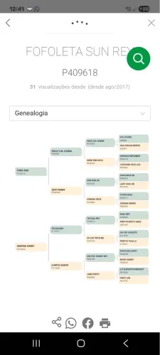 Égua 