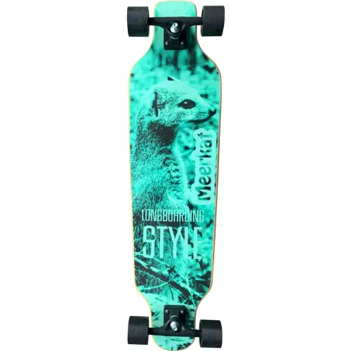 Long board semi novo