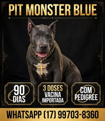 Filhote de Pit Monster