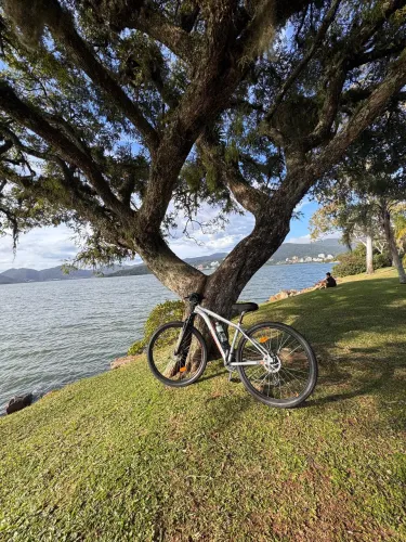 Caloi Explorer Sport Aro 29