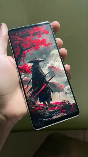 Samsung Galaxy S20 FE 5G (Snapdragon 865)