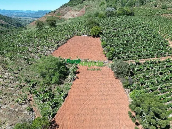 SÍTIO COM PLANTAÇÃO DE CAFÉ E BANANA EM PEDRALVA-MG