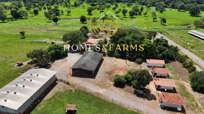 Fazenda à venda em Natividade TO com 1000 hectares porteira fechada
