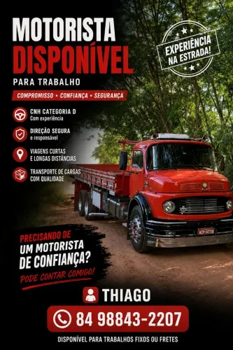 Motorista profissional
