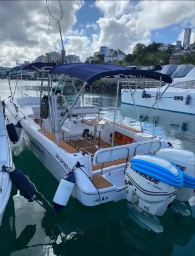FISHMAN 238 | PARELHA 2x EVINRUDE 115 HP | COMPLETA P/ PESCA OCEÂNICA