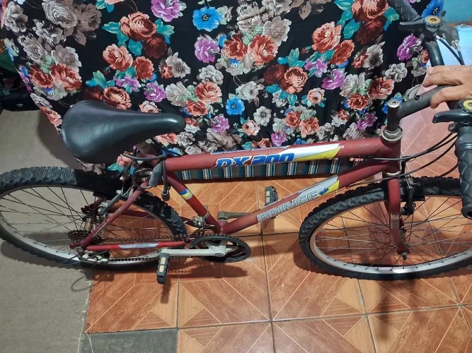 Vendo BICICLETA DX200 PRINCE