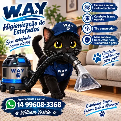 Higienizacao de sofa