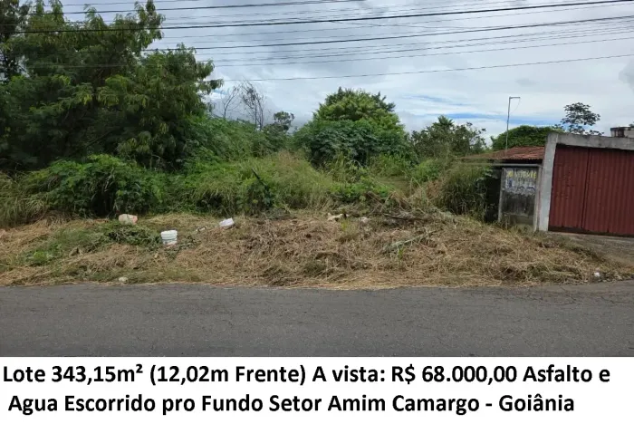 Leia a descrição: Lote 343,15m² (Asfalto e Agua) Setor Amim Camargo