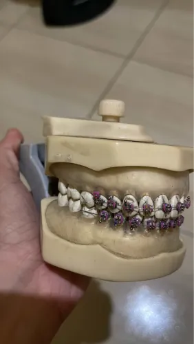 MANEQUIM ODONTOLÓGICO MARÍLIA 