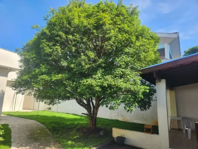 Casa à venda com 70m² na Reserva do Bosque dos Eucaliptos - São José dos Campos-SP.