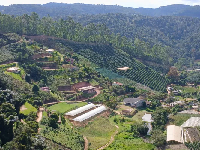 Oportunidade - Renda extra - Distribuição de morangos 