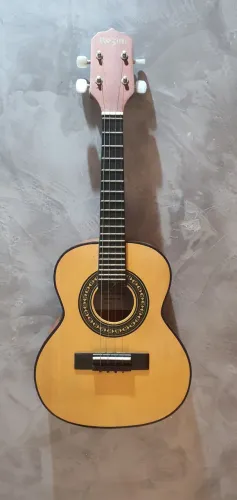 Cavaco Rozini RC10