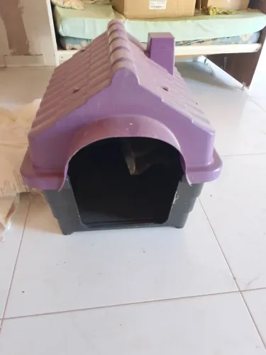 Casa de cachorro 