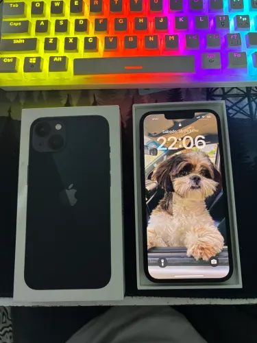 iPhone 13 / 256 GB
