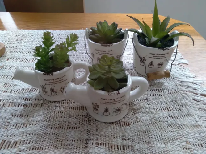 Vasinho com plantas