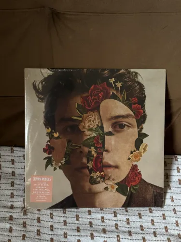 Vinil Shawn Mendes