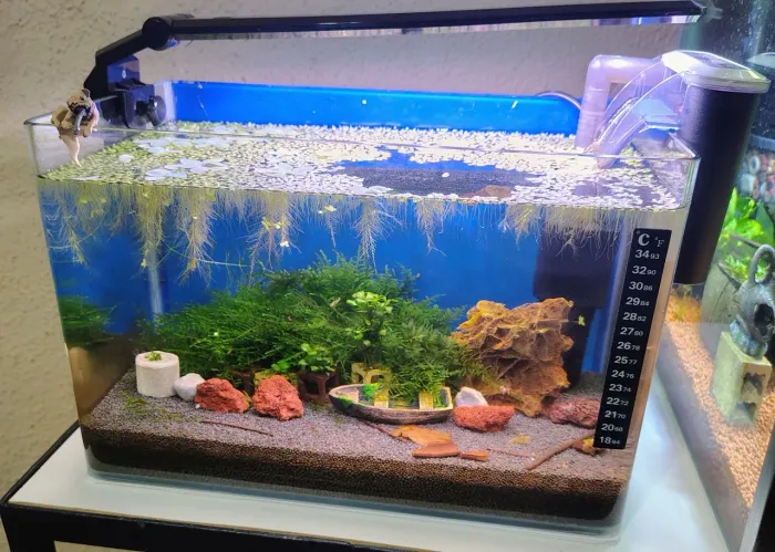 Aquário curvo 35x25x20