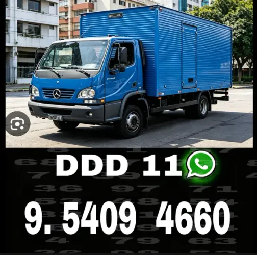 Frete Chácara Santa Antonio equipe especializada