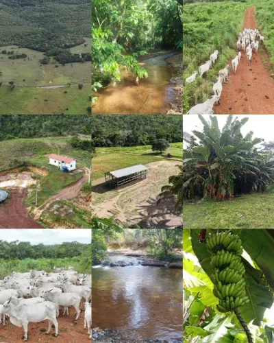Fazenda em Aparecida do Rio Negro