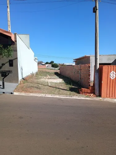 Meio terreno