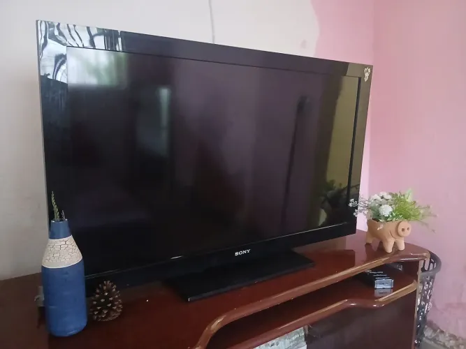 televisão